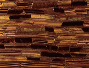 Tiger EyeGold 