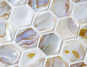 Shore Seashell Mosaic In Natural
